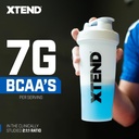 xtend-sport-bcaa-powder-blue-raspberry-i-4.jpg