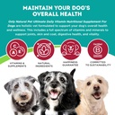 only-natural-pet-ultimate-daily-vitamins-2.jpg