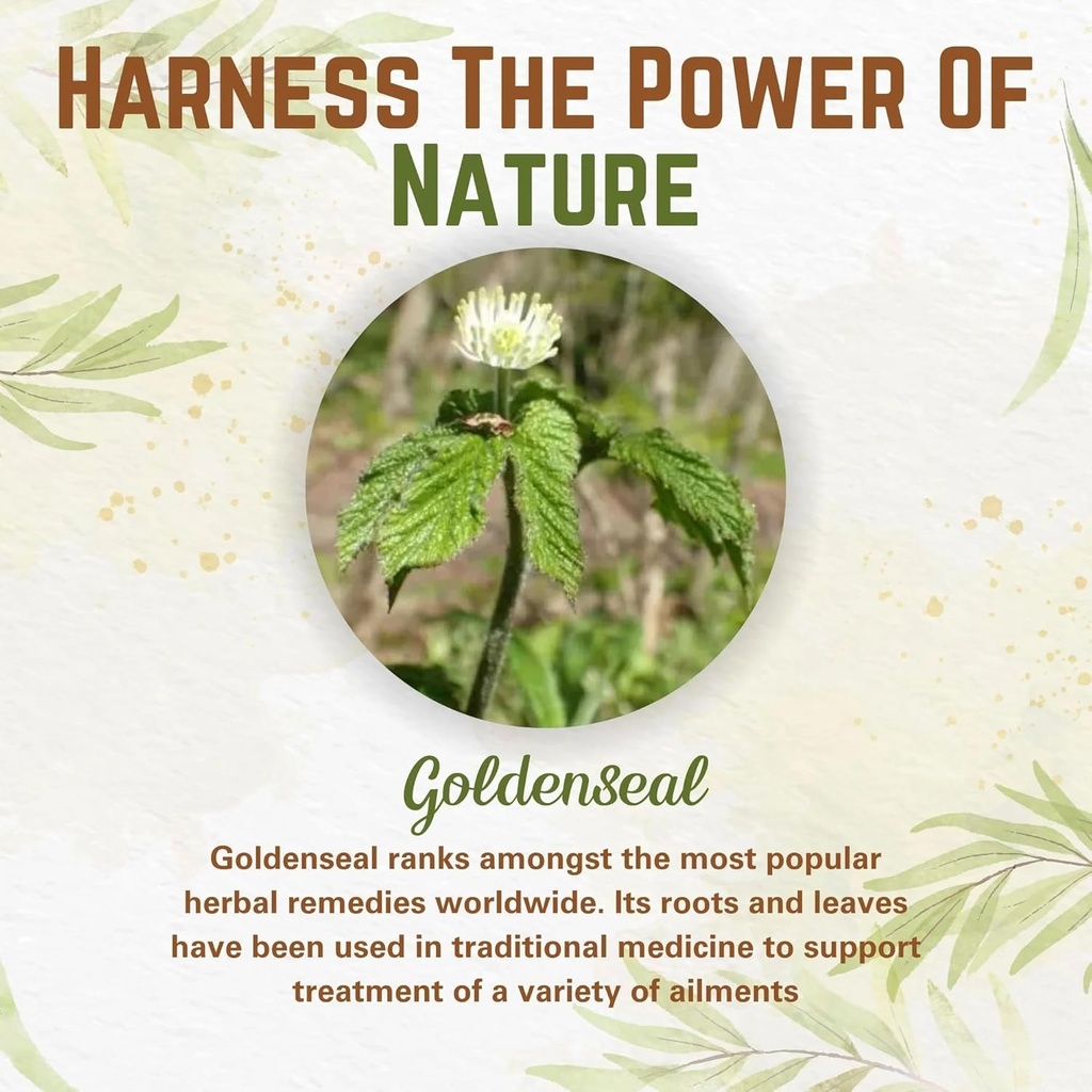 naturefi-organic-goldenseal-root-powder--3.jpg
