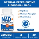 2200mg-liposomal-nad-supplementnad-suppl-6.jpg