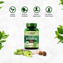 generic-plant-based-vitamin-b3-supports--4.jpg