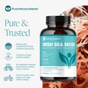 pure-micronutrients-irish-sea-moss-capsu-2.jpg