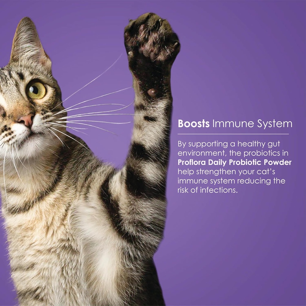probiotics-for-cats-complete-gut-health--6.jpg