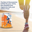 invigoflex-gs---glucosamine-sulfate-shel-4.jpg