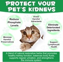 kidney-support-for-cats-cat-kidney-treat-5.jpg