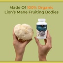 naturealm-lions-mane-mushroom-supplement-6.jpg