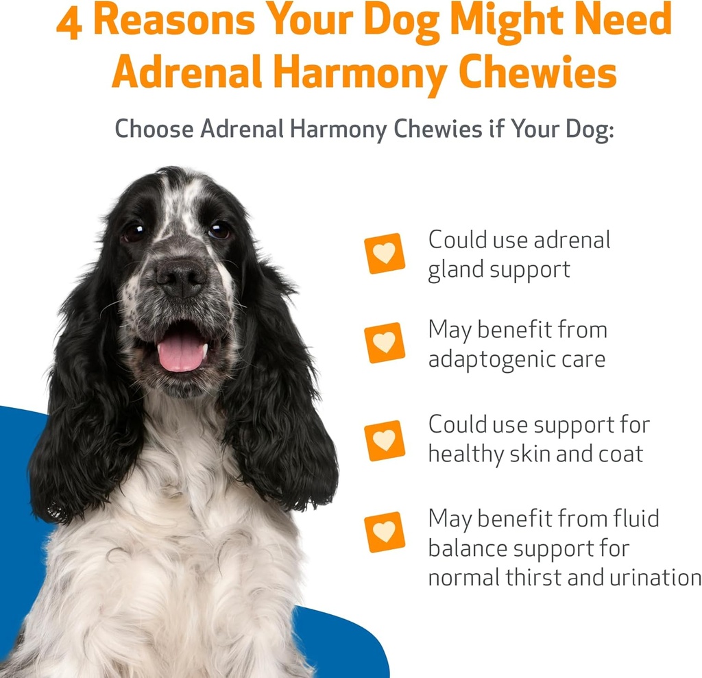 pet-wellbeing-adrenal-harmony-chewies-fo-3.jpg