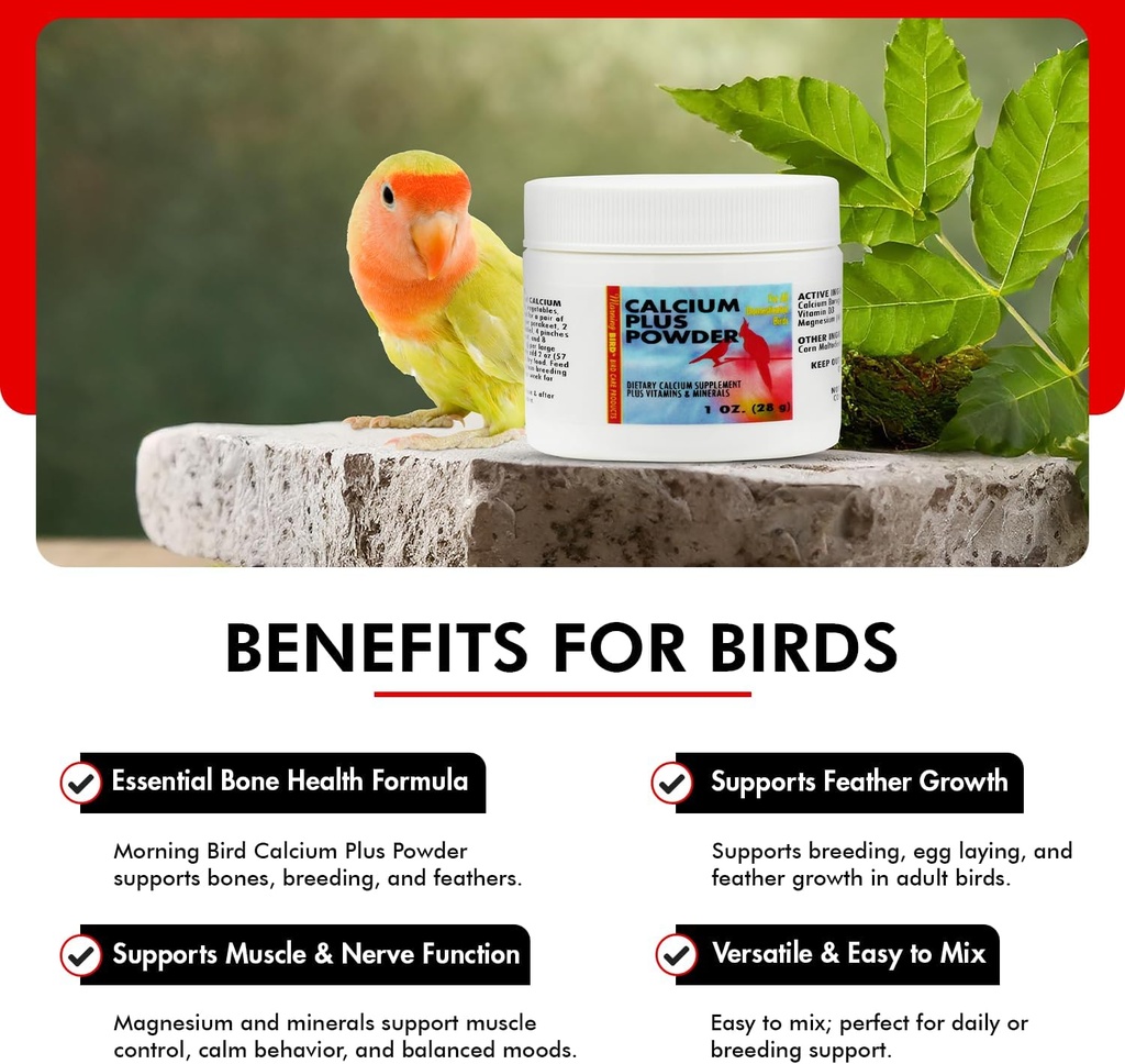 morning-bird-calcium-plus-powder-for-bir-5.jpg