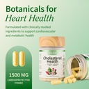 snap-supplements-cholesterol-health---na-2.jpg