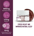 troomy-sleep-reishi-melatonin-great-tast-2.jpg