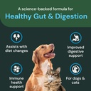 vetriscience-veterinary-strength-healthy-4.jpg