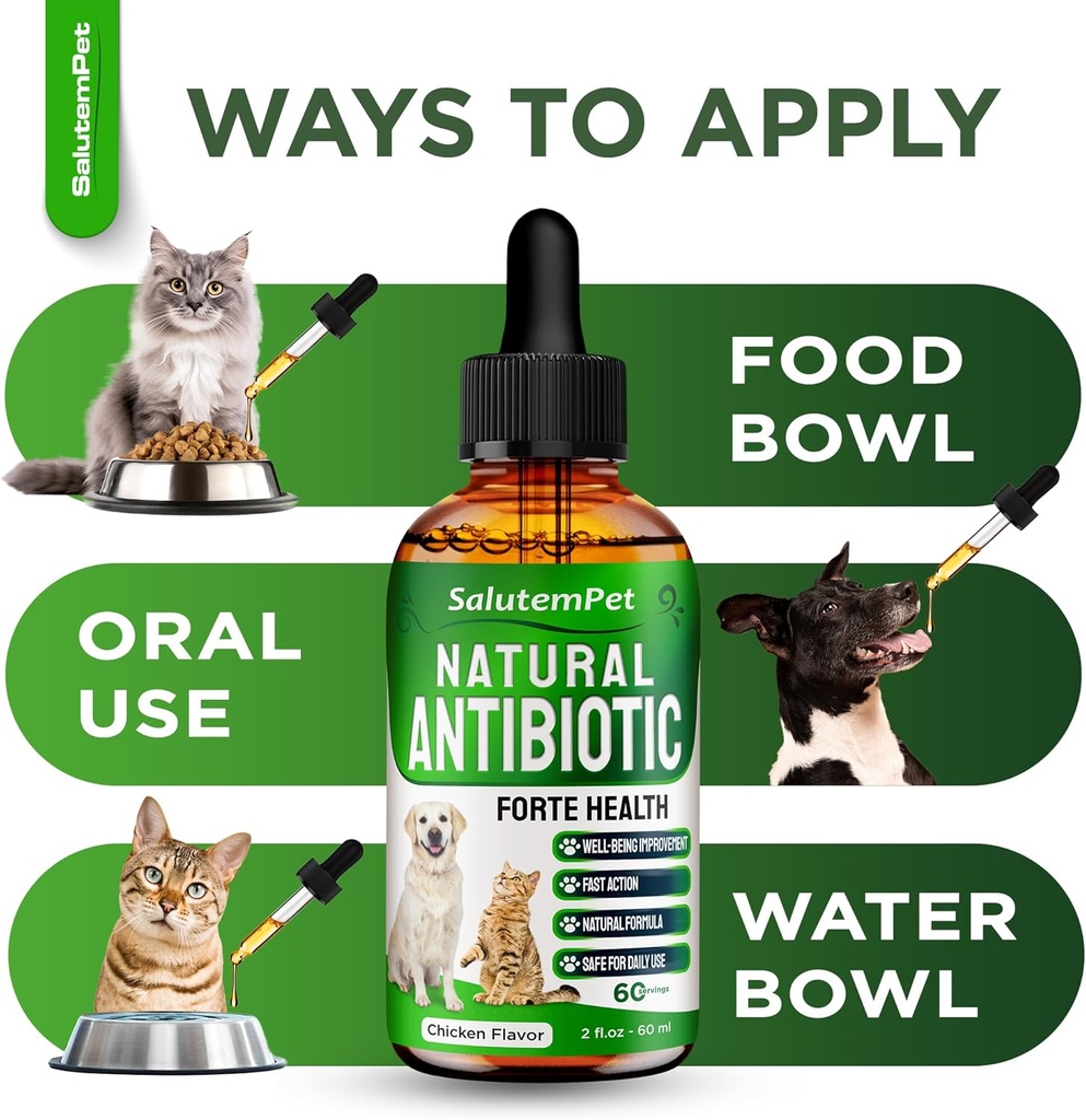 dog-antibiotics-forte-health-antibiotics-6.jpg