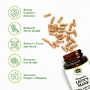 lions-mane-supplement-capsules---non-gmo-3.jpg