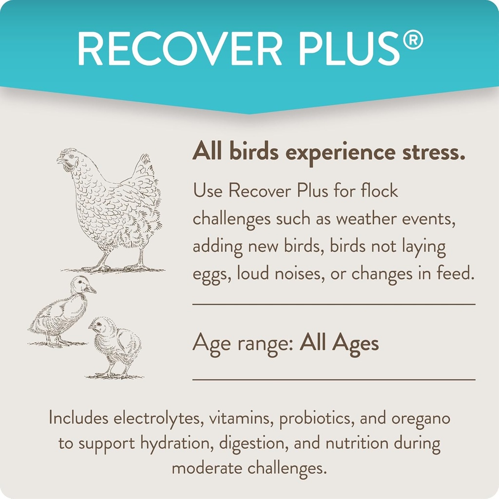 recover-plus-moderate-stress-probiotic-w-4.jpg