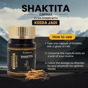 shaktita-capsules-with-keedajadi-infusio-3.jpg