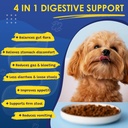 probiotics-for-dogs---dog-probiotics-for-4.jpg