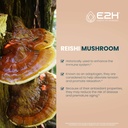 reishi-mushroom-supplement---faster-abso-3.jpg