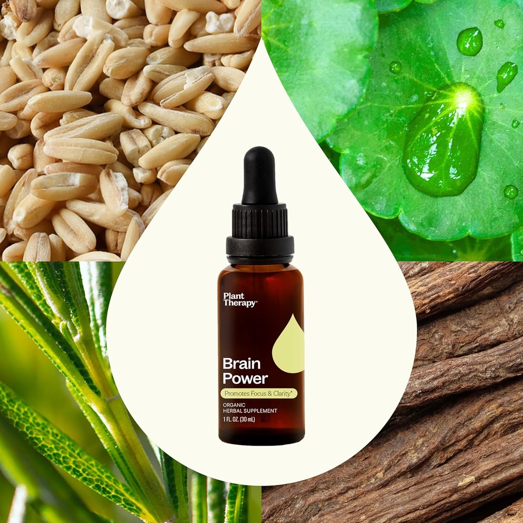 plant-therapy-organic-brain-power-tinctu-4.jpg