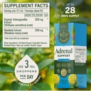 herbamama-adrenal-support-liquid-drops---3.jpg