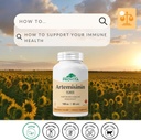 provita-artemisinin-pro-immune-support-s-2.jpg