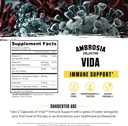 ambrosia-vida-immunity-support-elderberr-2.jpg