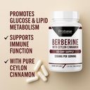 probase-nutrition-berberine-with-cinnamo-4.jpg
