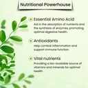 moringa-powder-the-real-green-freeze-dri-4.jpg
