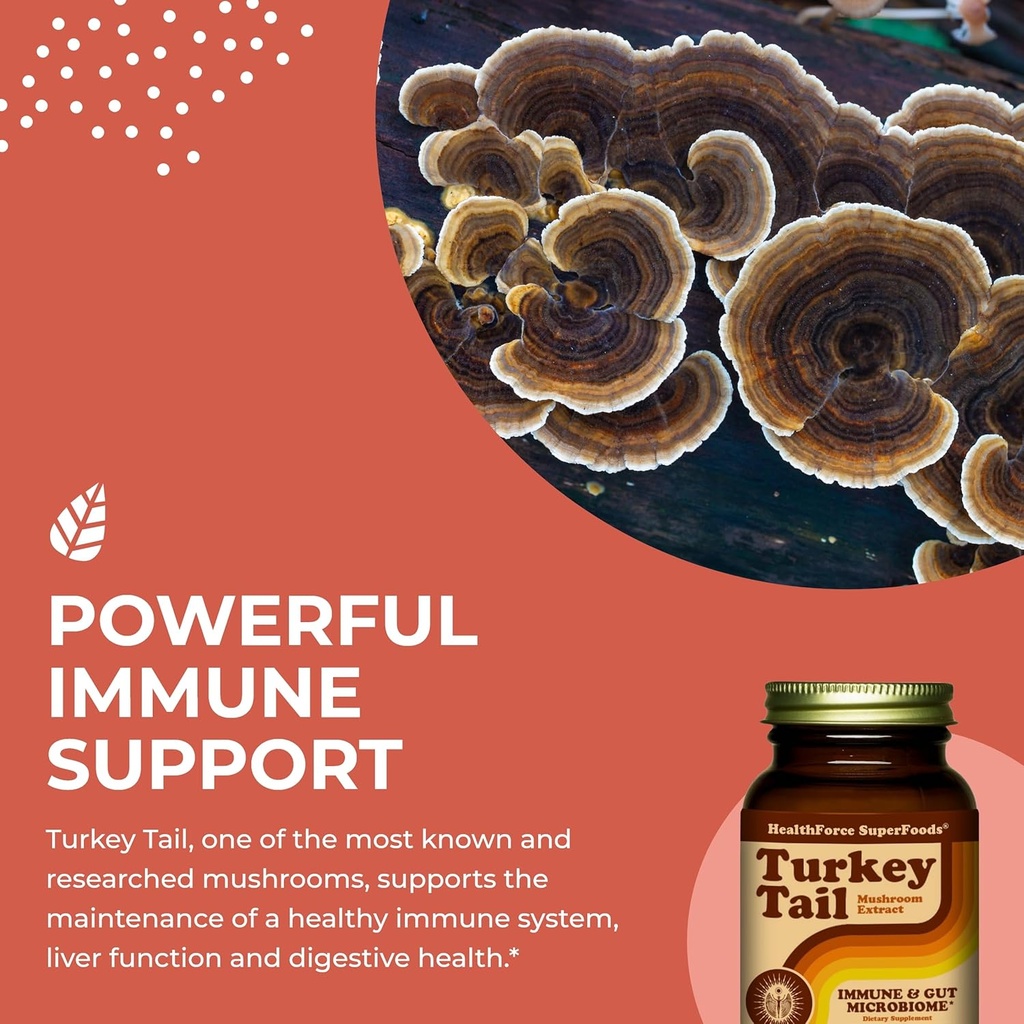 healthforce-superfoods-turkey-tail---cap-4.jpg