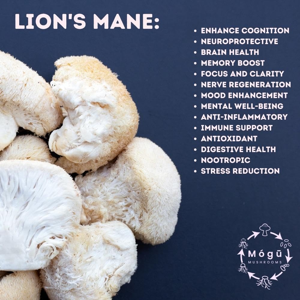 body-mind---pure-organic-lions-mane-cord-5.jpg