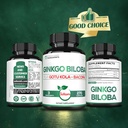 1520mg-ginkgo-biloba-supplements-with-go-6.jpg