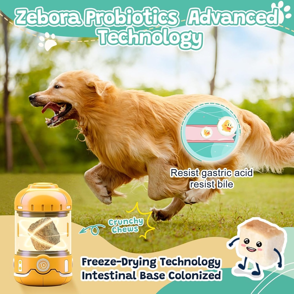 probiotics-for-dogs-digestive-health-dog-2.jpg
