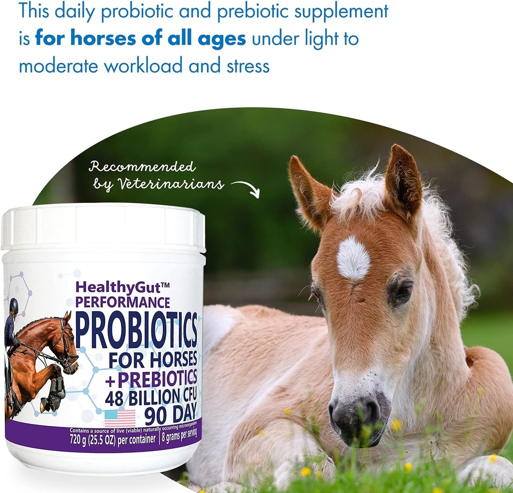 healthygutTM-probiotics-for-horses-dieta-4.jpg