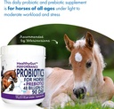 healthygutTM-probiotics-for-horses-dieta-4.jpg