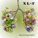 xl-3-allergy-24-hour-allergy-relief-2-pa-2.jpg