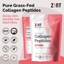 zint-collagen-peptides-powder-paleo-keto-2.jpg
