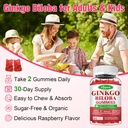 2-pack-ginkgo-biloba-gummies-with-panax--5.jpg