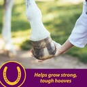 horse-health-shur-hoof-hoof-supplement-f-3.jpg