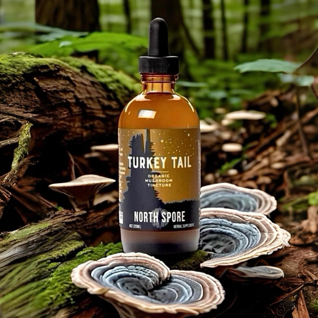 north-spore-organic-turkey-tail-tincture-5.jpg