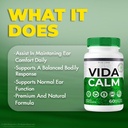 rize-labs---vida-calm-advanced-formula-c-6.jpg