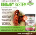 cranberry-bladder-uti-chews-for-dogs-d-m-5.jpg