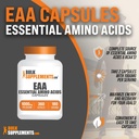 bulksupplementscom-essential-amino-acids-2.jpg