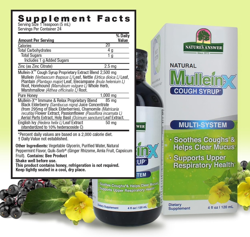 natures-answer-mullein-x-multi-system-co-3.jpg