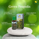 brazilian-green-bee-propolis-liquid-extr-2.jpg