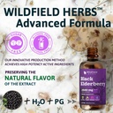 elderberry-extract-drops-2000mg-sambucus-6.jpg