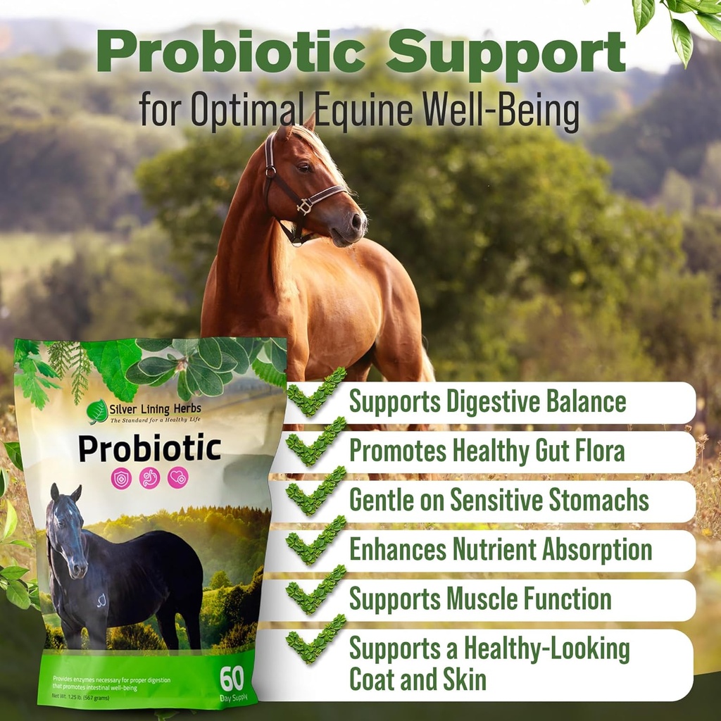 silver-lining-herbs-horse-probiotics-dig-3.jpg