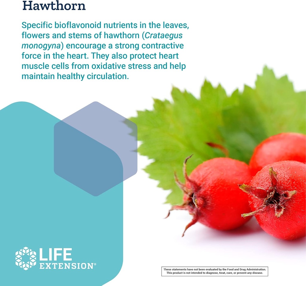 life-extension-cardio-peak---hawthorn-ex-5.jpg
