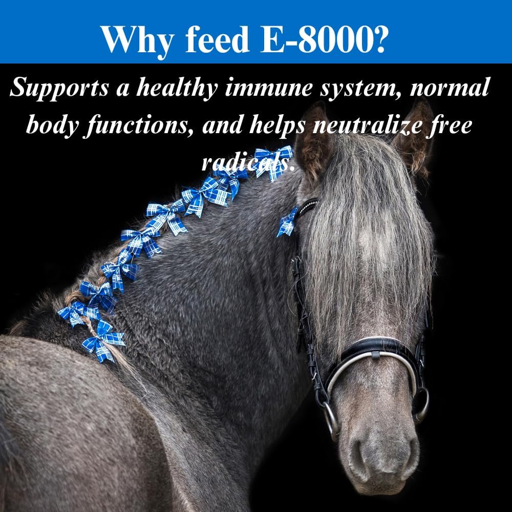 su-per-e-8000-horse-antioxidant-suppleme-5.jpg