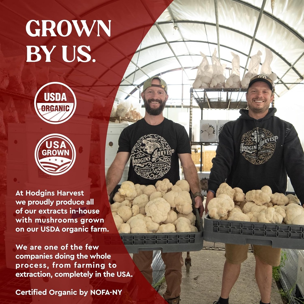 hodgins-harvest-organic-reishi-mushroom--3.jpg