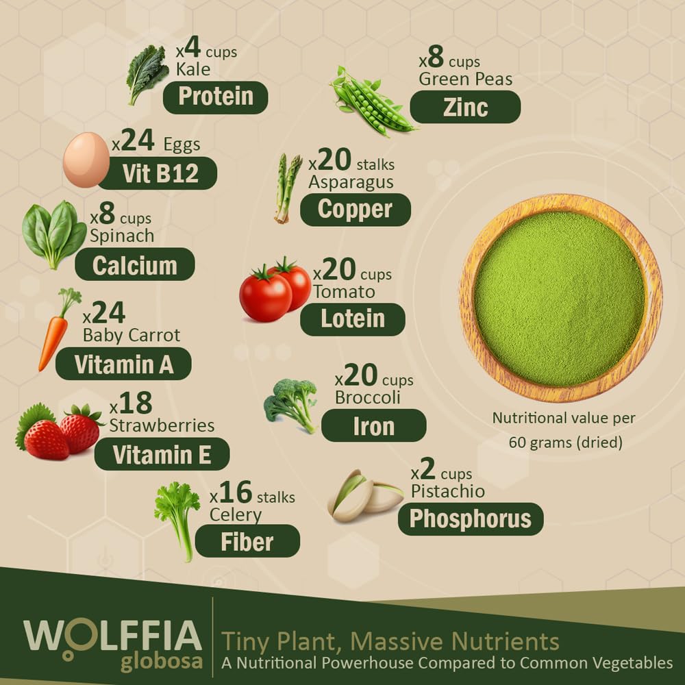 premium-dried-wolffia-globosa-superfood--2.jpg