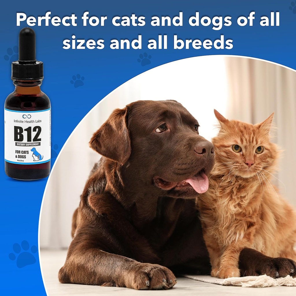 liquid-vitamin-b-12-for-dogs-and-cats----4.jpg